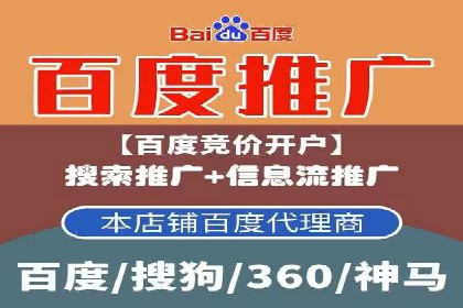 SEM推广策略：成功案例分享与启示